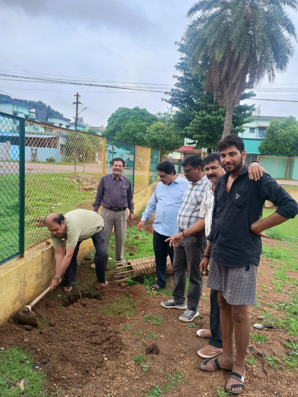 Tree Plantation
